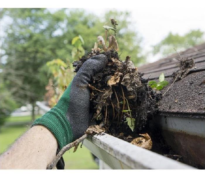 Hand pulling leafy debris from gutter on house